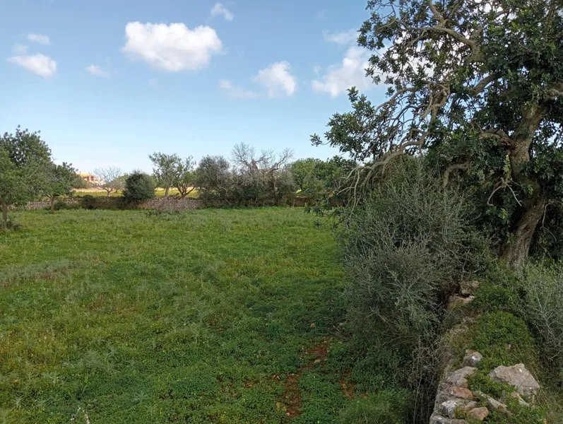 Exclusive 20,000 m² Estate with Sea Views: Tradition and Connectivity between Calonge and Cala d'Or — photo 2