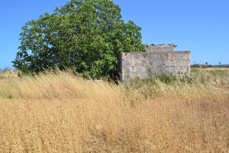 Set of plots for sale in Muro a short distance from the beach — photo 8