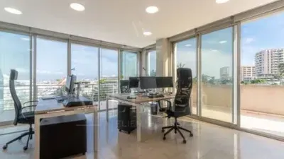 Apartment in La Bonanova-Porto Pi — photo 5