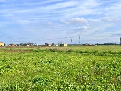 Rustic property - Sa Pobla (Pobla (Sa)), Built Surface 97m², Plot Surface 9153m², 1 Room — photo 12