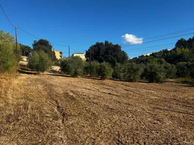 Rustic property - Campanet , Plot Surface 1765m 2 . — photo 1