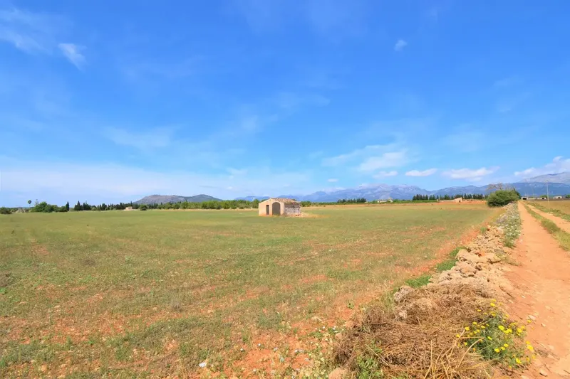 Rustic finca with wonderful views of the Serra de Tramuntana in the municipality of Llubí — photo 2