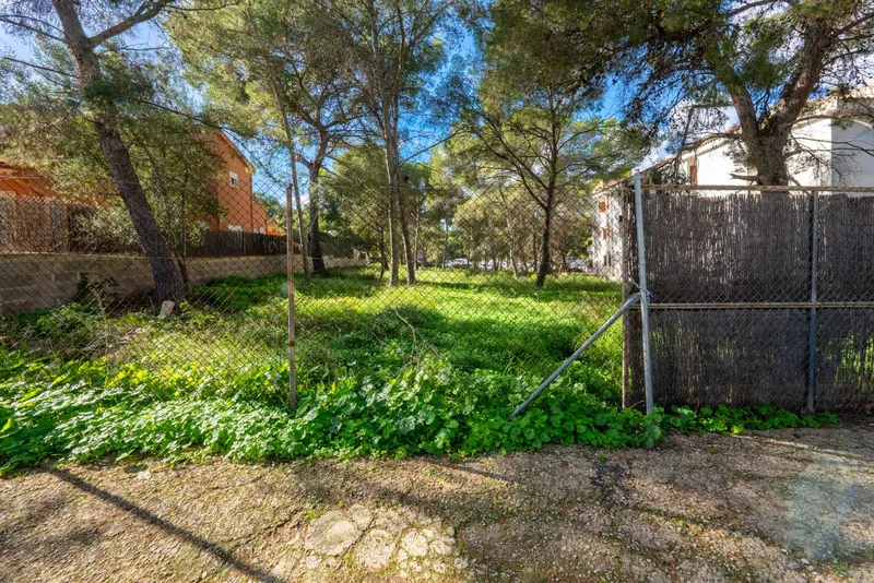 Building plot near the harbour in Santa Ponsa — photo 4