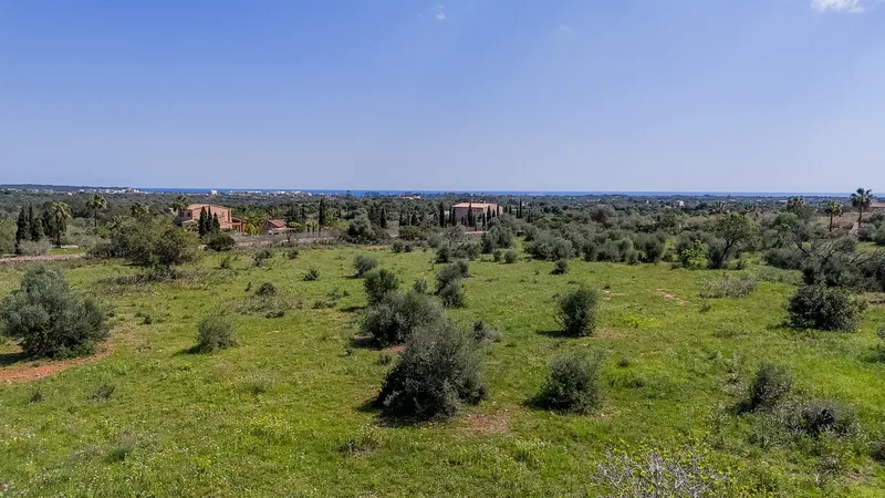 Plot with sea views 10 minutes from Porto Cristo — photo 9
