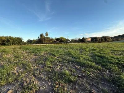 Rural Land - Sant Joan, Plot Surface 2.7892m² — photo 5