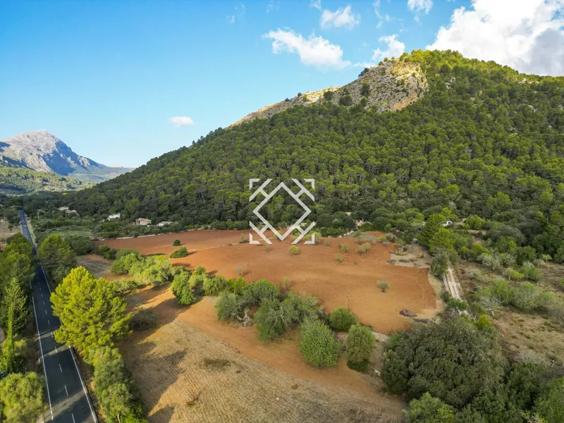 Historic country house for sale in Vall d'en March Pollensa, Mallorca — photo 9