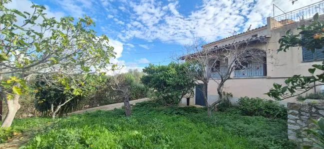 Rustic property - Alaró — photo 5