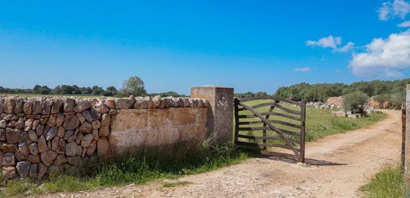 Rustic estate near Cala Pí — 136,400 m², Llucmajor area, 10 min from the coast — photo 3