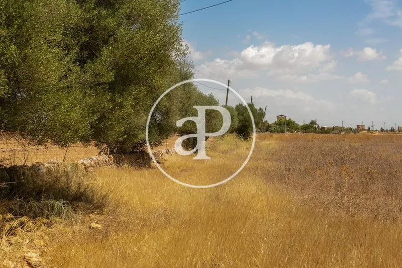 Land in Campos, Province of Balearic Islands — photo 3