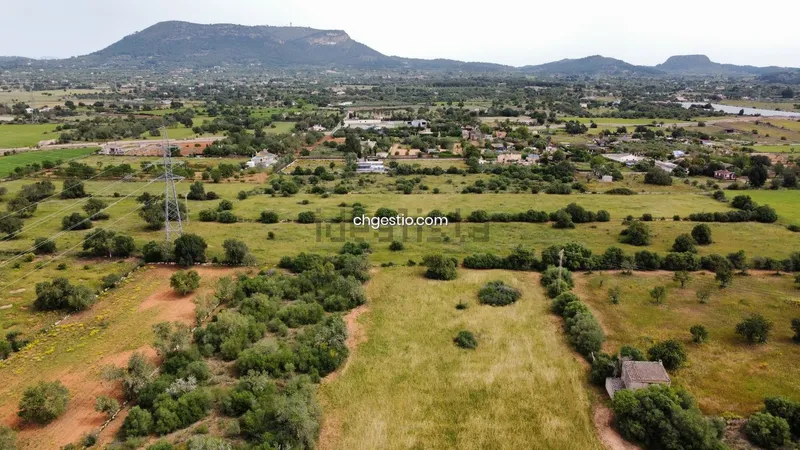 Plot in Llucmajor — photo 11