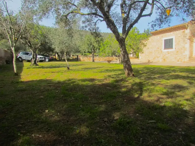 Spectacular rustic finca with garden, pool, barbecue and parking in Santa Eugenia for long-term and temporary rental. — photo 7