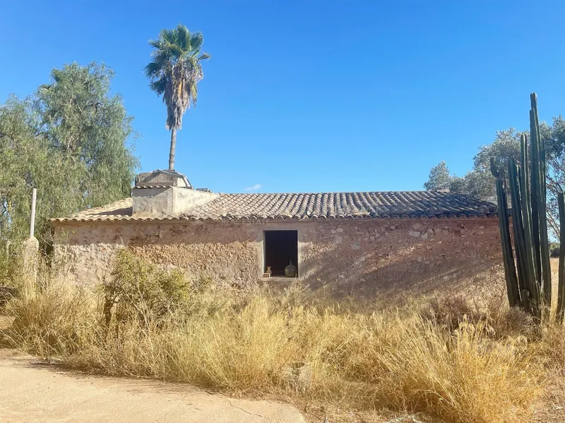 Country house between Campos and Sa Rapita to renovate — photo 8