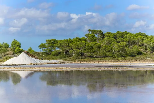Newly renovated village house with pool for sale in Ses Salines, Mallorca — photo 12