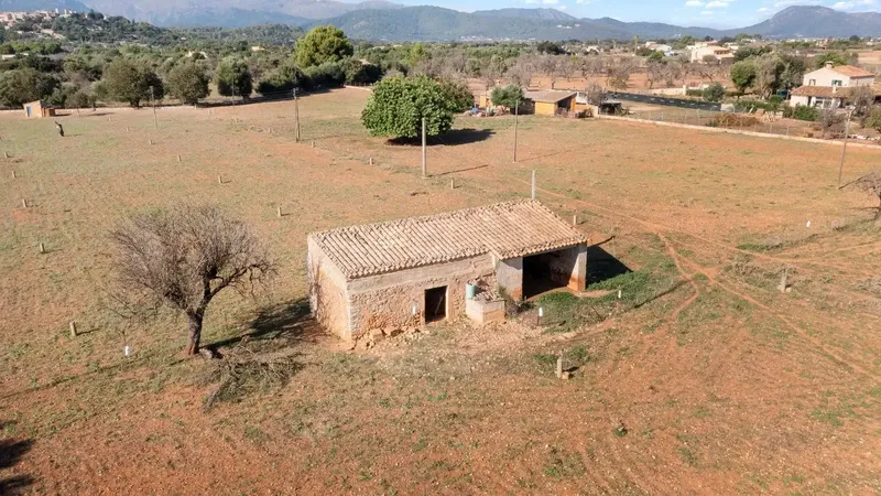 Finca of 24,823 m2 in Búger, currently with 337 m2 built, divided into 217 m2 of house with stables, a 60 m2 building, 147 m2 — photo 7