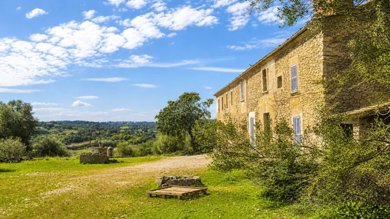 Commercial in Sant Llorenç des Cardassar — photo 4
