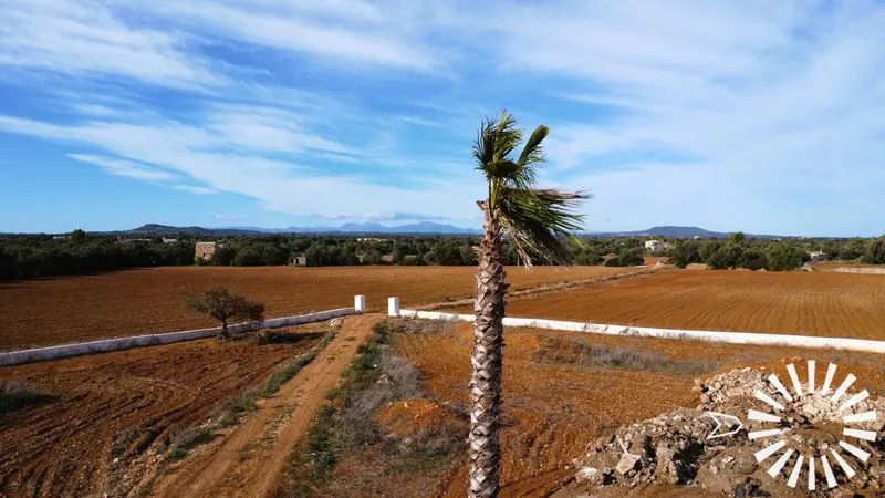 Country Estate for sale in Felanitx of 18090 m2 — photo 10