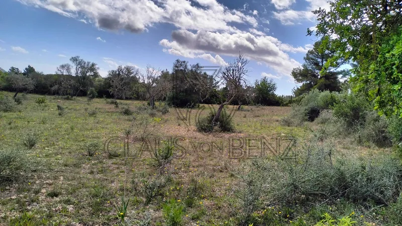 Felanitx – Fantastic plot with panoramic views — photo 8