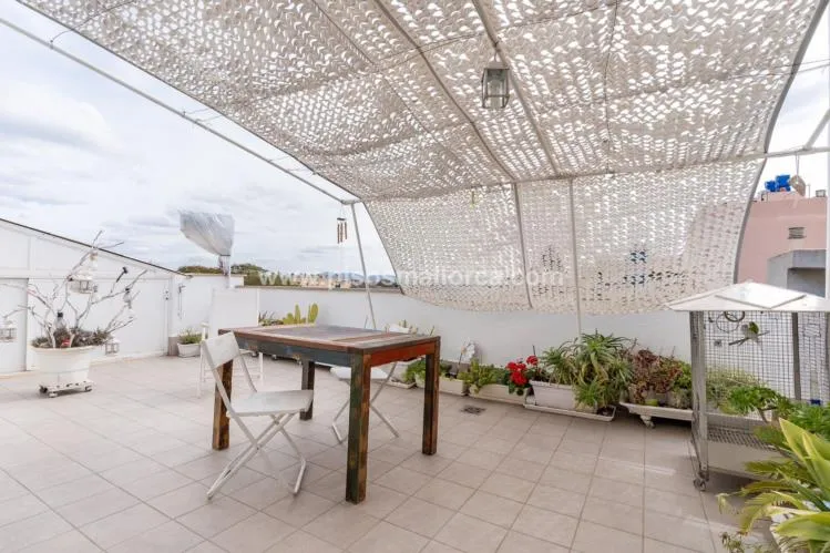 Penthouse. Palma de Mallorca — photo 2