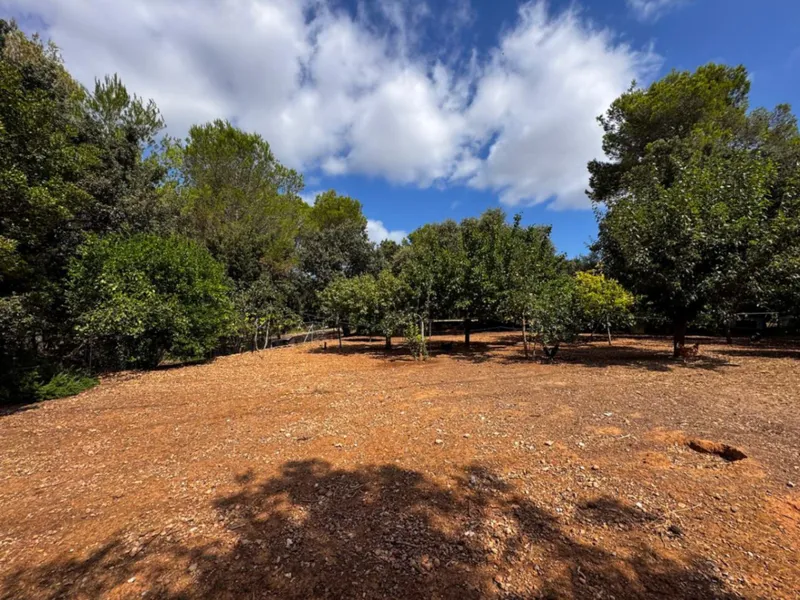 Rustic finca in an idyllic setting with apartment — photo 1