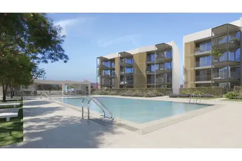 Apartment in Palmanova, Mallorca — photo 10