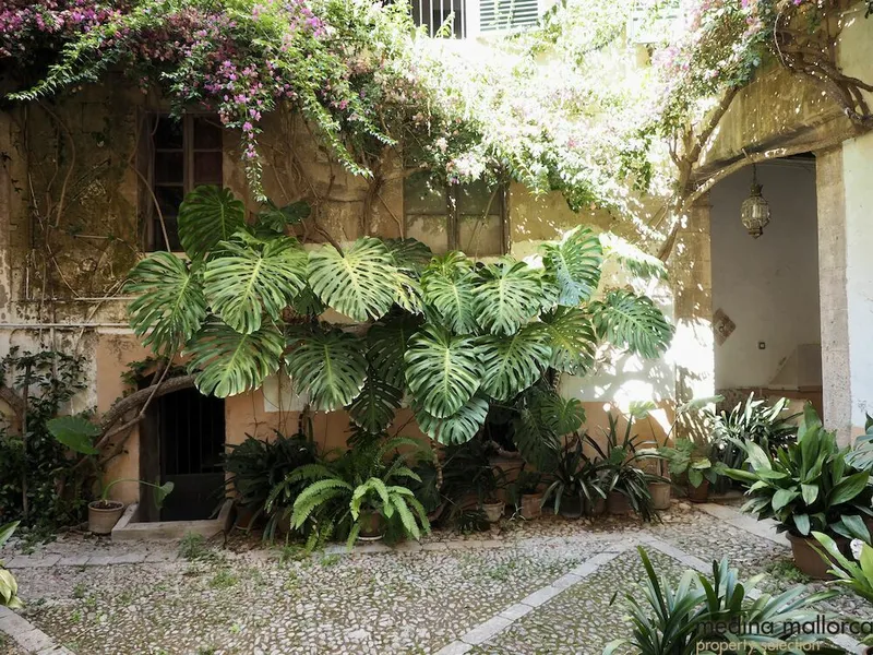 16th-century manor house in the center of Palma — photo 3