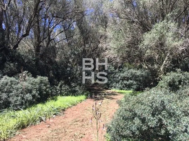 Country plot for sale in Felanitx — photo 6