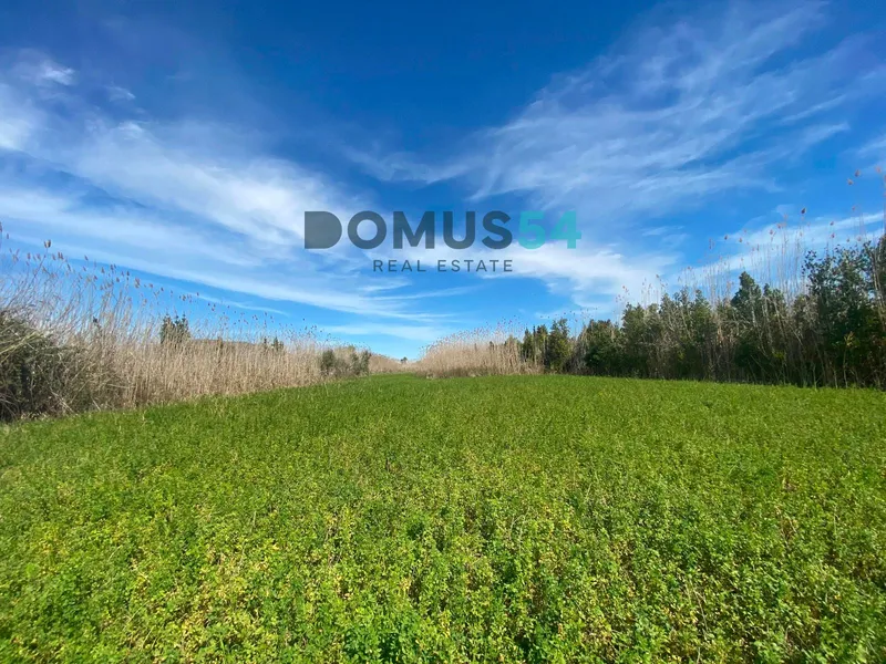 Rustic land not to be built on in Sa Pobla — photo 2