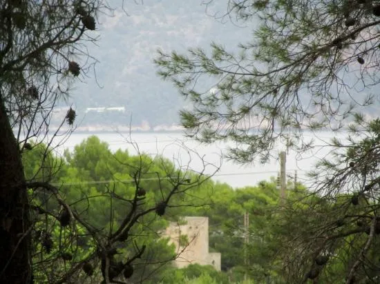 Finca in Bonaire, Alcudia — photo 2