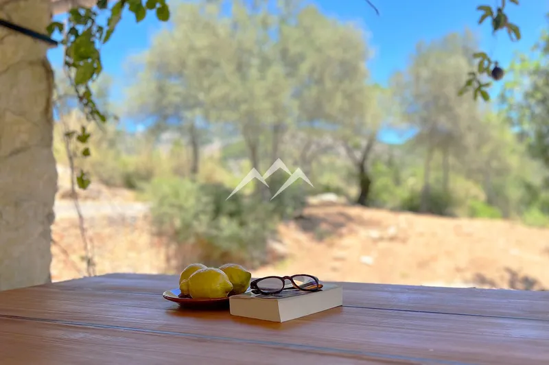 Charming finca with pool, in the middle of natural surroundings, in Puigpunyent — photo 9