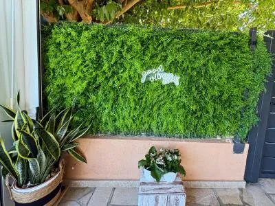 Rustic property - Muro (Playa de Muro) — photo 10
