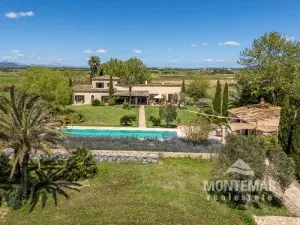 Country house amidst vineyards near Felanitx — photo 1