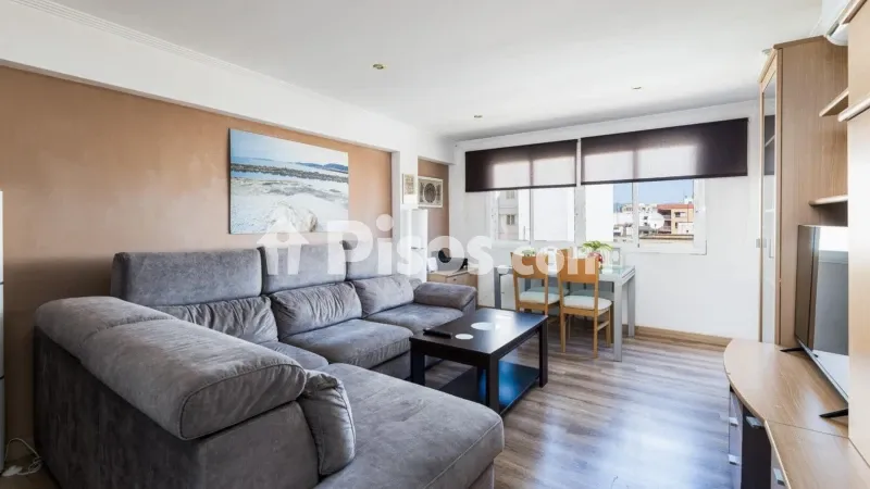 Apartment in La Soledad Norte — photo 2