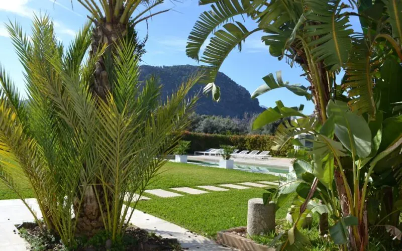 Contemporary finca with pool and expansive gardens near Pollensa – PM07396 — photo 12