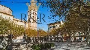 Rural land in Binissalem (Cabana), plot surface 15 m², distance to the sea 18 km — photo 7