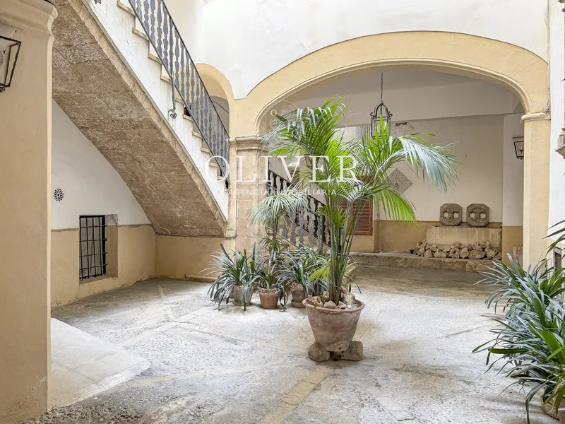 Protected: Magnificent apartment in La Calatrava — photo 2