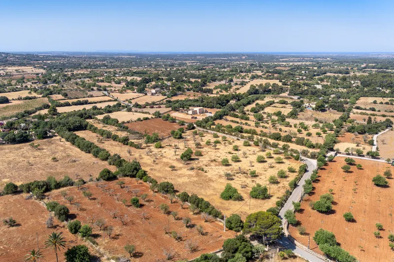 Building Plot with Approved Finca Project near Cas Concos — photo 3