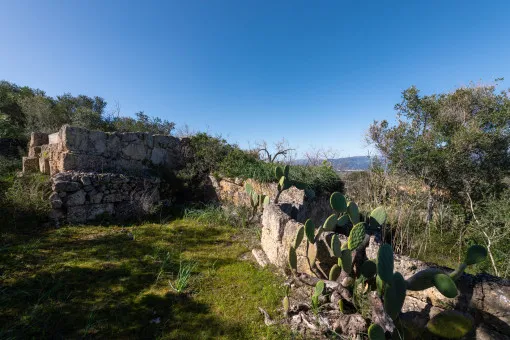 Santa Eugenia, historic rustic finca with panoramic views in Coves to renovate — photo 8