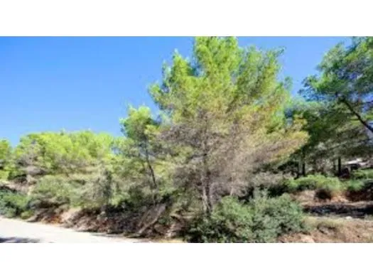 Plot, 1100 m² — photo 1