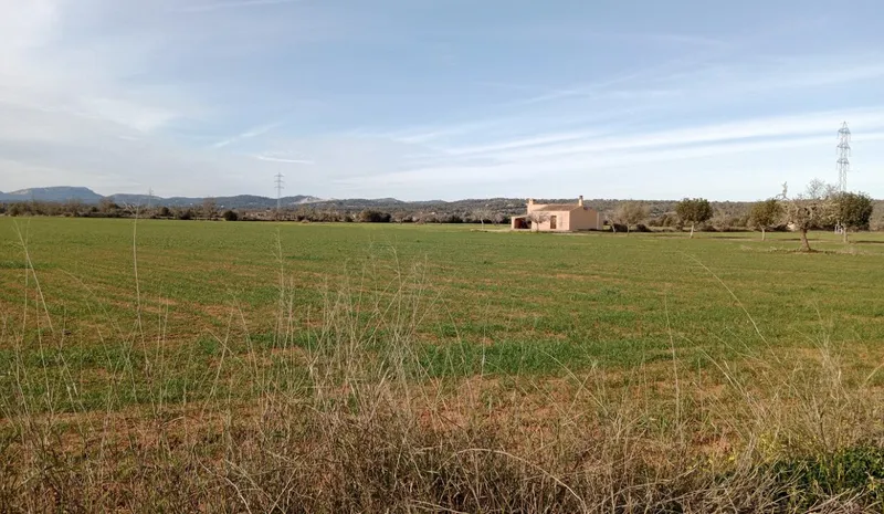 Country Plot near Campos — photo 3
