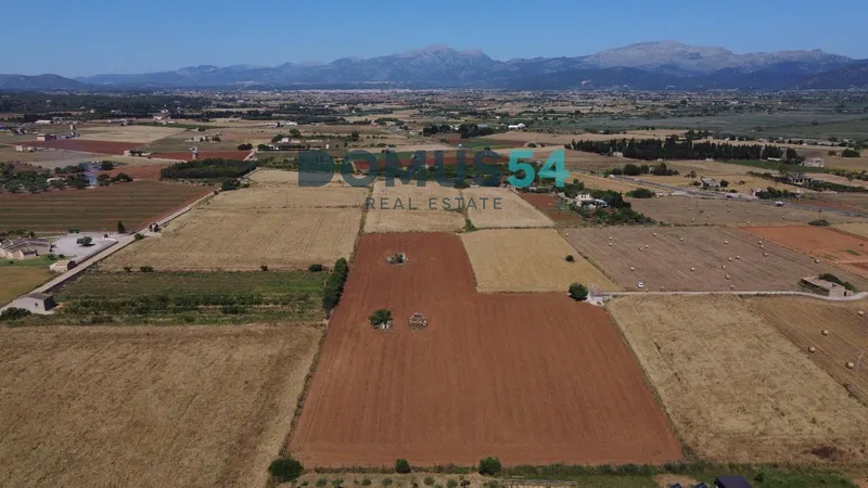 plot in Muro — photo 2