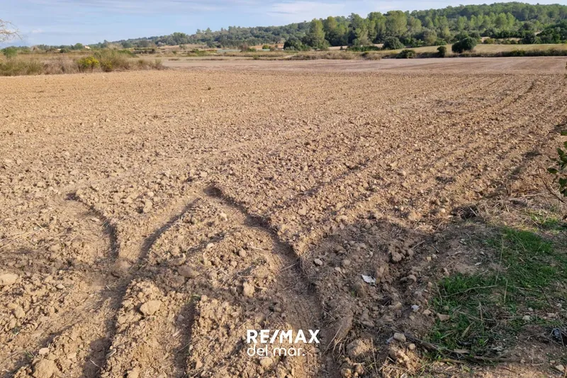 Rustic plot with well in Porreres — photo 5