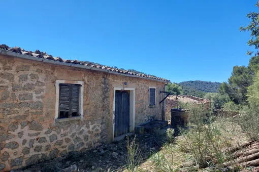 Alaró, finca project in a stunning hill landscape with mountain views near Alaró — photo 8