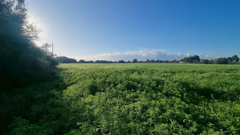 Countryside property in Campos — photo 2