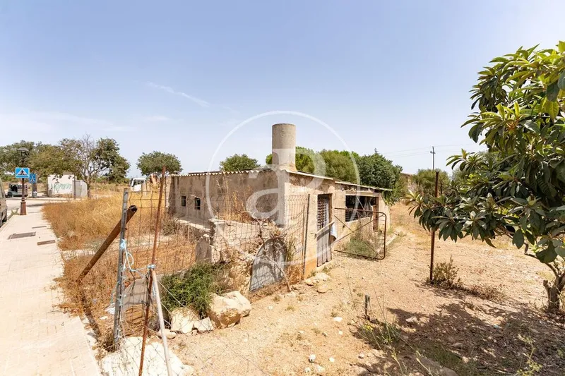 Land in Binissalem, Province of Balearic Islands — photo 8