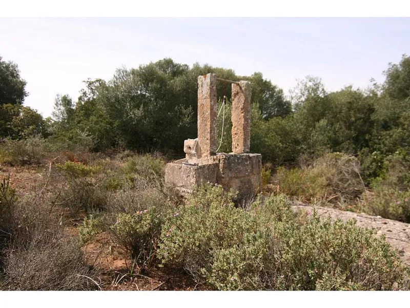 Rustic house for sale in Llucmajor of 200 m2 — photo 2