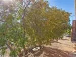 Rustic Finca for sale in Marratxí — photo 5