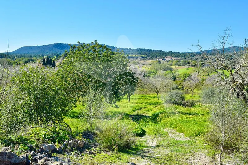 Building plot in a great location — photo 10