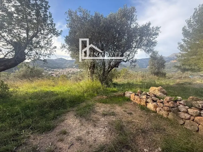 Beautiful rustic estate for sale in Mancor de la Vall (Mallorca), located in a privileged position, at the highest point of the municipality — photo 12