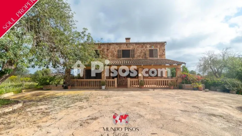 Rustic finca in Cala Llombards — photo 2