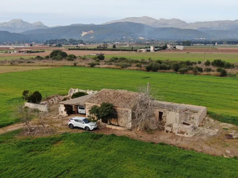 Land in Sa Pobla, Mallorca — photo 2